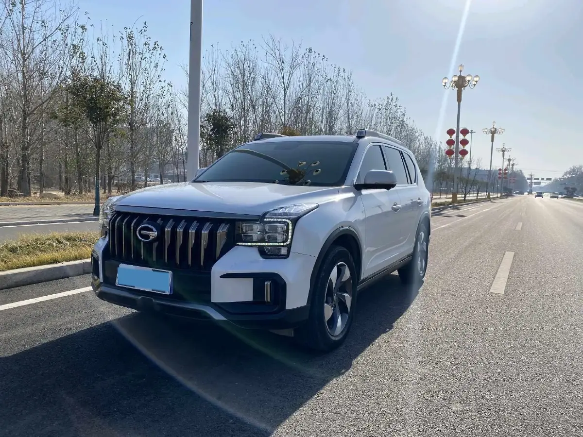 2020 GAC Trumpchi GS8 2.0T 252HP L4 6AT