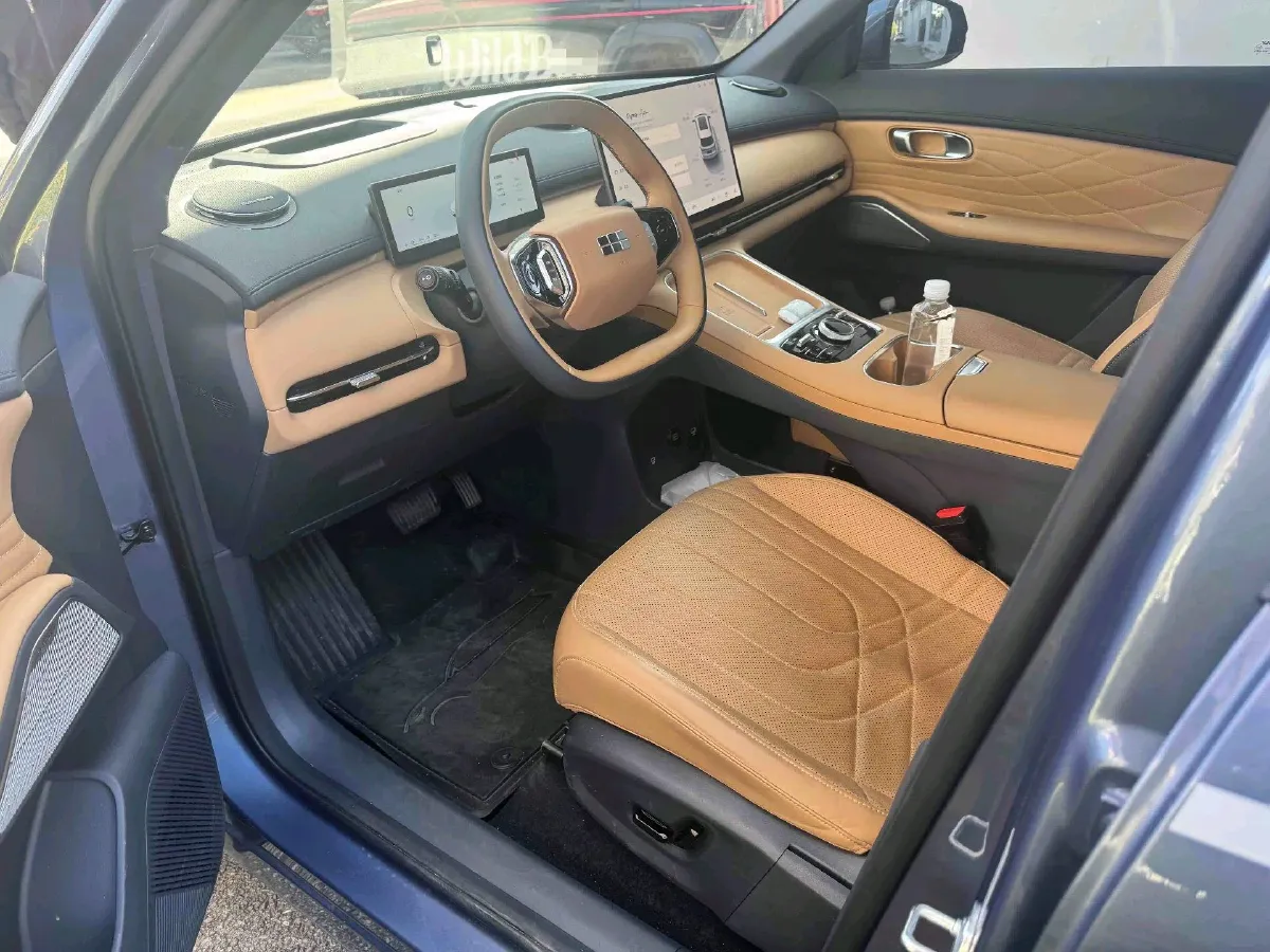 2025 BYD Sea Lion 05 DM-i 1.5L 101HP L4 E-CVT PHEV 18.3KWH,autocango,china used car exporter,china ev exporter,chinese used car exporter,chinese used ev exporter