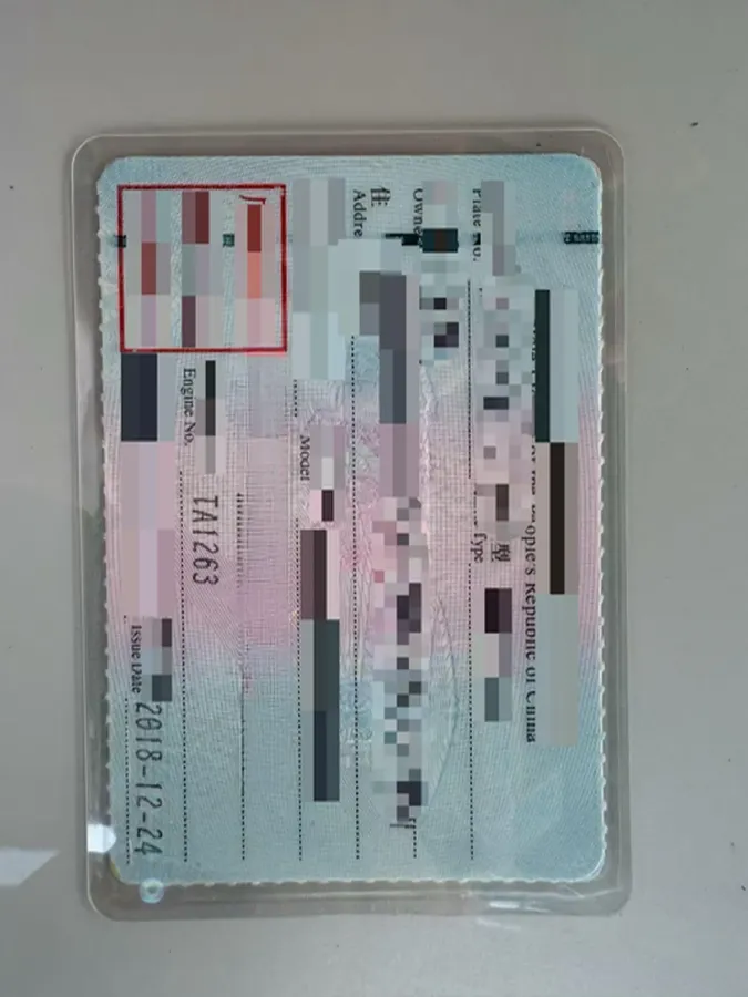 2019 HuangHai WeiLong 2.4T 218HP L4 6AT,autocango,china used car exporter,china ev exporter,chinese used car exporter,chinese used ev exporter