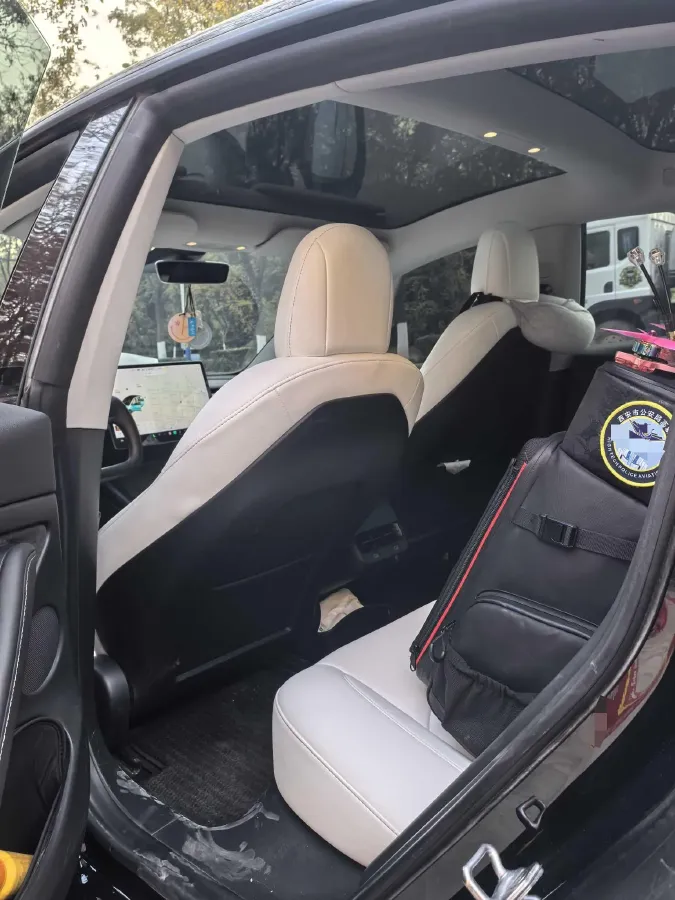 2021 Tesla Model 3 BEV 55KWH,autocango,china used car exporter,china ev exporter,chinese used car exporter,chinese used ev exporter