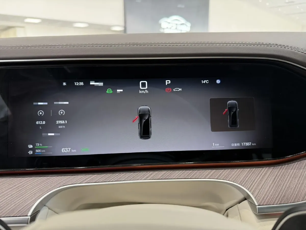 2025 Denza DenzaN9 2.0T 207HP L4 E-CVT PHEV,autocango,china used car exporter,china ev exporter,chinese used car exporter,chinese used ev exporter