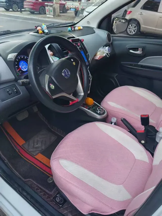 2021 ChangAn BenBen E-Star BEV 31.95KWH,autocango,china used car exporter,china ev exporter,chinese used car exporter,chinese used ev exporter