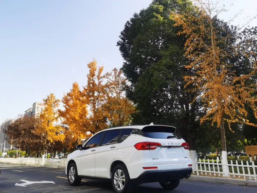 2019 Haval M6 1.5T 150HP L4 7DCT,autocango,china used car exporter,china ev exporter,chinese used car exporter,chinese used ev exporter
