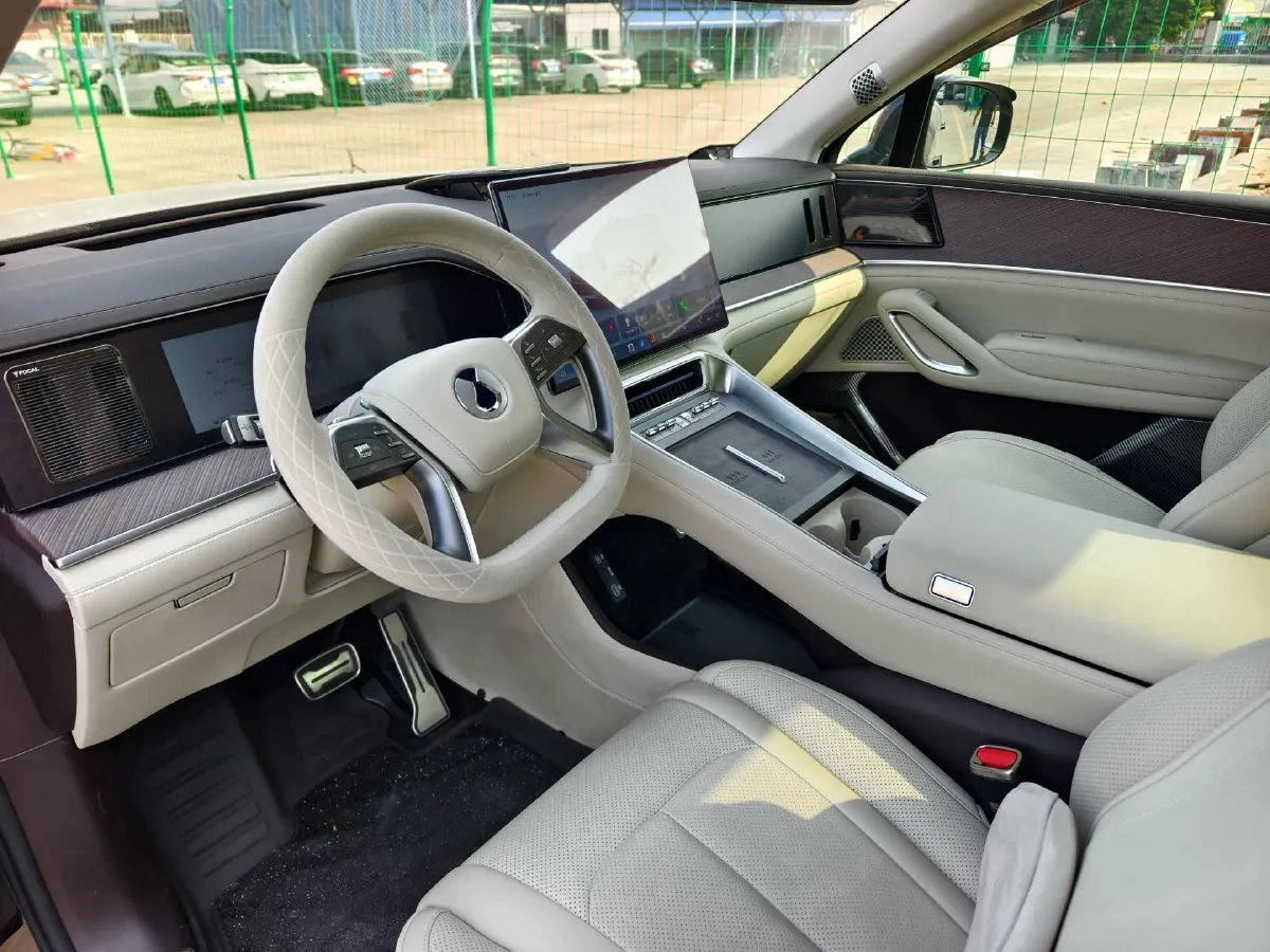 2025 Denza DenzaN9 2.0T 207HP L4 E-CVT PHEV,autocango,china used car exporter,china ev exporter,chinese used car exporter,chinese used ev exporter