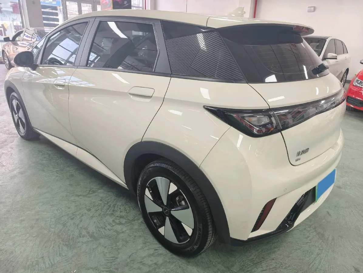 2023 BYD Dolphin BEV 44.928KWH,autocango,china used car exporter,china ev exporter,chinese used car exporter,chinese used ev exporter
