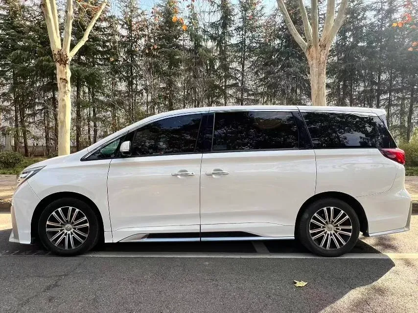 2021 GAC Trumpchi M8 2.0T 252HP L4 8AT,autocango,china used car exporter,china ev exporter,chinese used car exporter,chinese used ev exporter