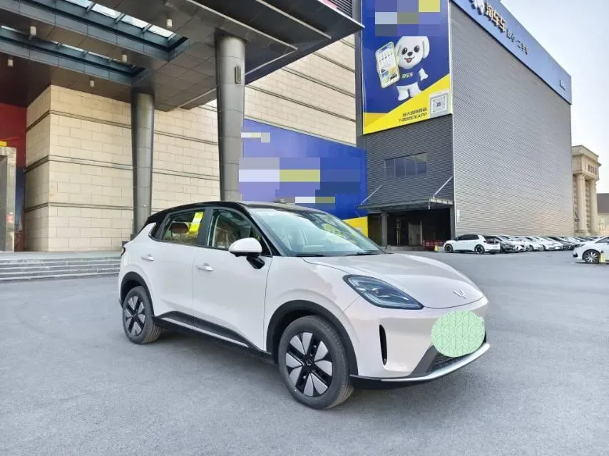 2025 WuLing BinGuo BEV,autocango,china used car exporter,china ev exporter,chinese used car exporter,chinese used ev exporter