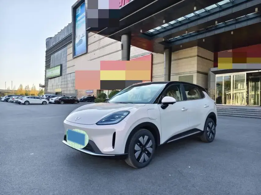2025 WuLing BinGuo BEV