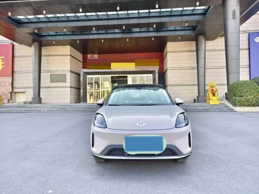 2025 WuLing BinGuo BEV,autocango,china used car exporter,china ev exporter,chinese used car exporter,chinese used ev exporter