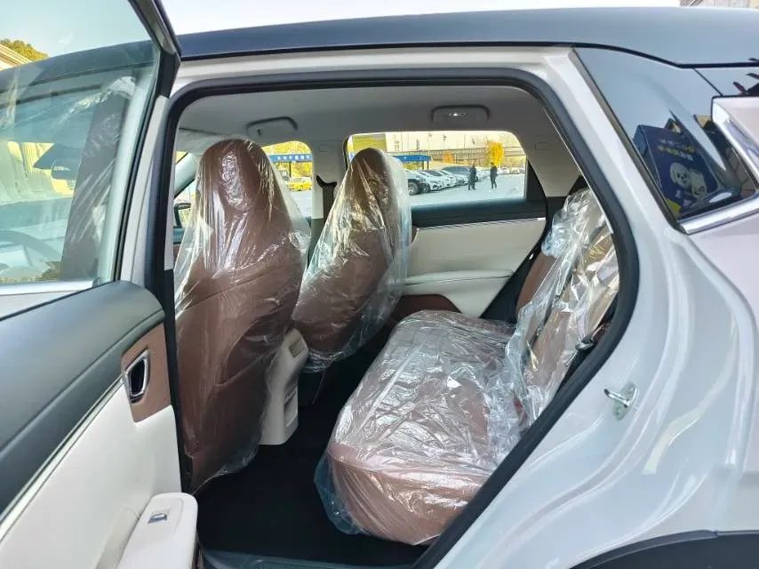 2025 WuLing BinGuo BEV,autocango,china used car exporter,china ev exporter,chinese used car exporter,chinese used ev exporter