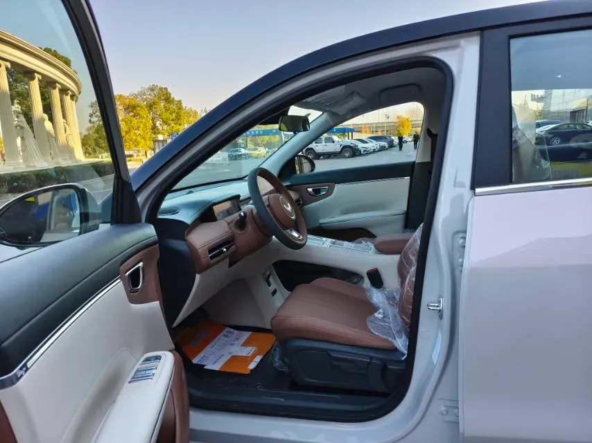 2025 WuLing BinGuo BEV,autocango,china used car exporter,china ev exporter,chinese used car exporter,chinese used ev exporter