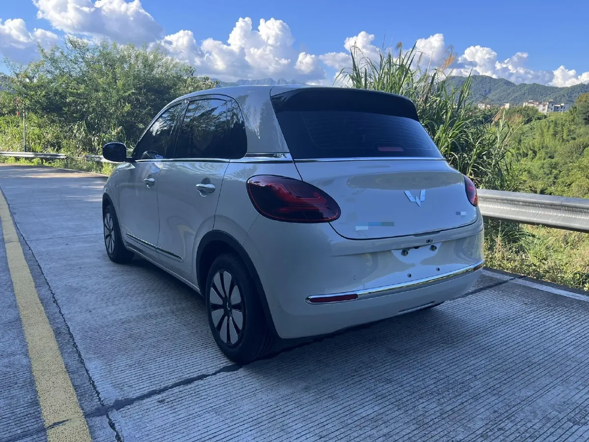2024 WuLing BinGuo BEV 31.9KWH,autocango,china used car exporter,china ev exporter,chinese used car exporter,chinese used ev exporter