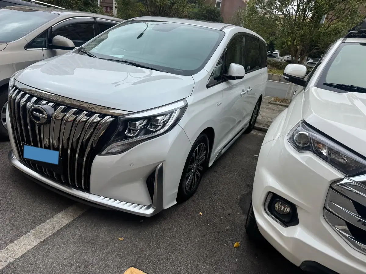 2021 GAC Trumpchi M8 2.0T 252HP L4 8AT