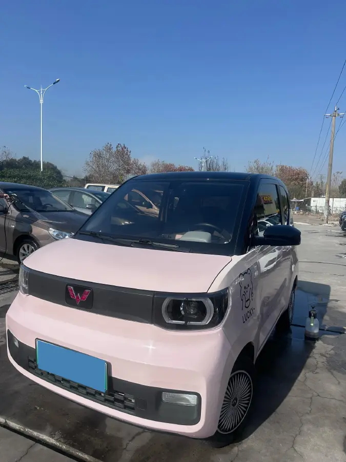 2022 WuLing HongGuang MINI EV BEV 13.9KWH