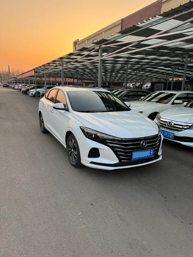 2019 ChangAn Eado DT 1.6L 125HP L4 5MT,autocango,china used car exporter,china ev exporter,chinese used car exporter,chinese used ev exporter