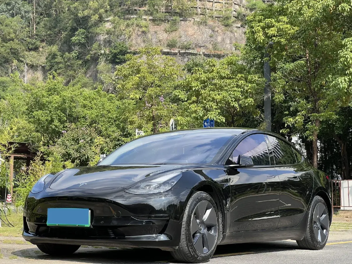 2021 Tesla Model 3 BEV 55KWH