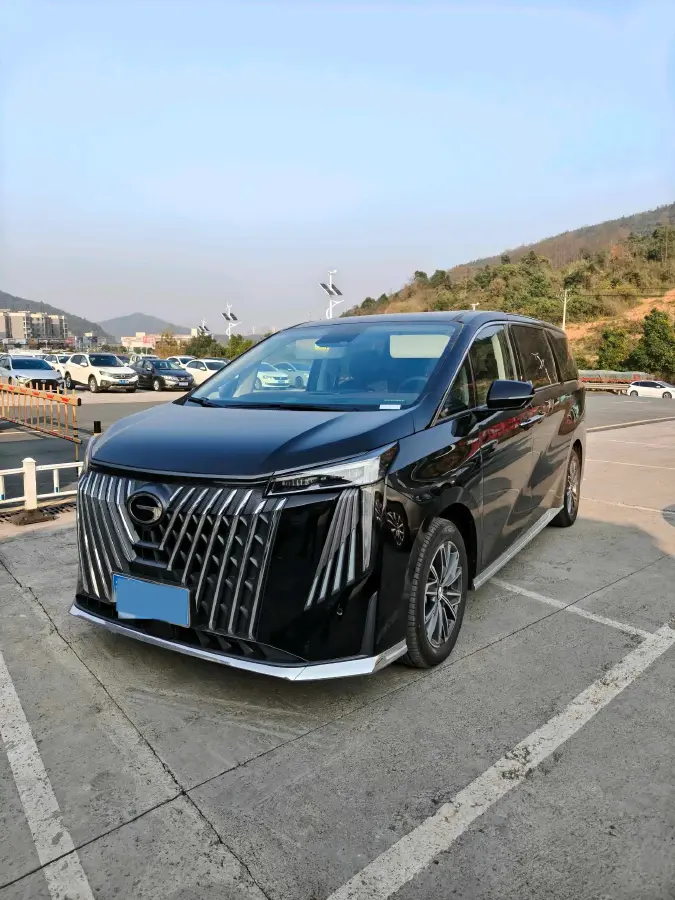 2024 GAC Trumpchi M8 2.0T 252HP L4 8AT