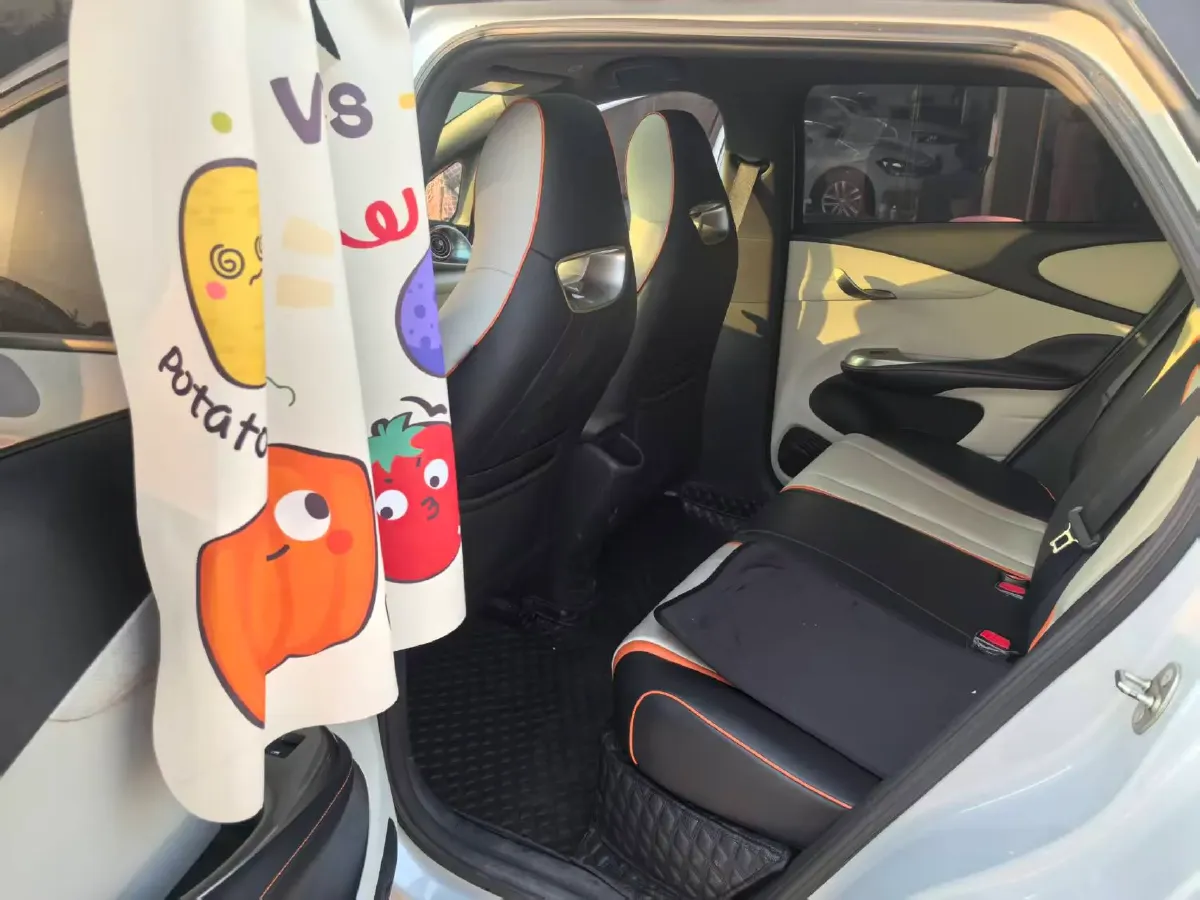 2021 BYD Yuan Pro BEV 50.1KWH,autocango,china used car exporter,china ev exporter,chinese used car exporter,chinese used ev exporter