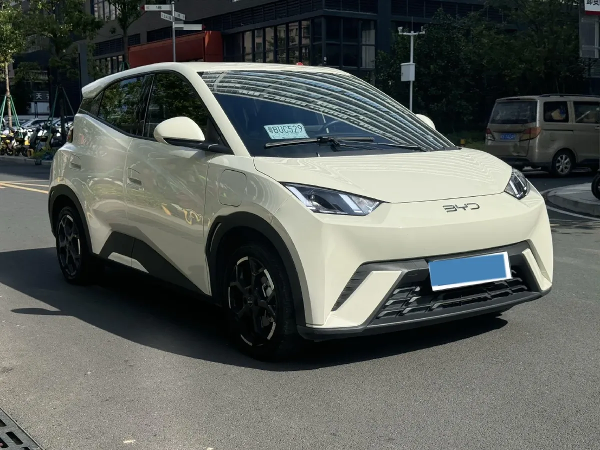 2025 BYD Seagull BEV 30.08KWH,autocango,china used car exporter,china ev exporter,chinese used car exporter,chinese used ev exporter