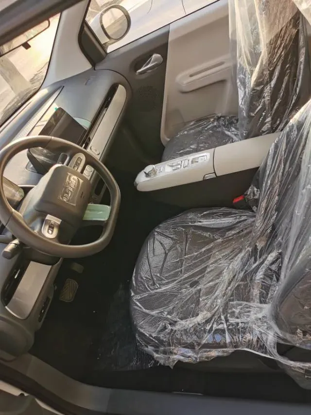 2025 ChangAn QiYuan Lumin BEV,autocango,china used car exporter,china ev exporter,chinese used car exporter,chinese used ev exporter