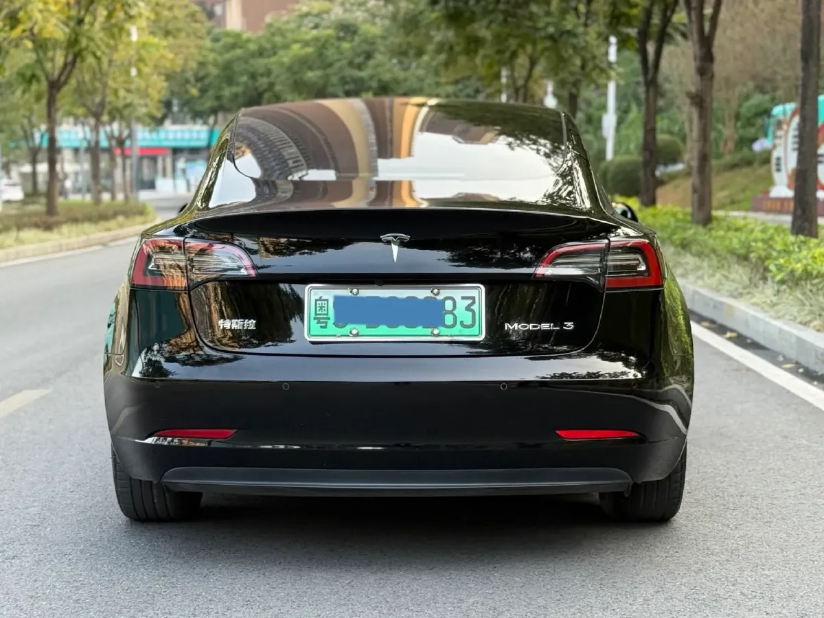 2020 Tesla Model 3 BEV 55KWH,autocango,china used car exporter,china ev exporter,chinese used car exporter,chinese used ev exporter
