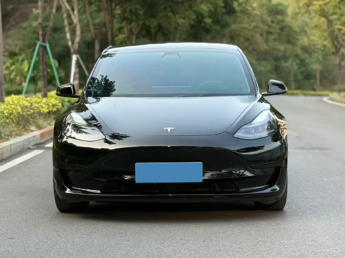 2020 Tesla Model 3 BEV 55KWH,autocango,china used car exporter,china ev exporter,chinese used car exporter,chinese used ev exporter