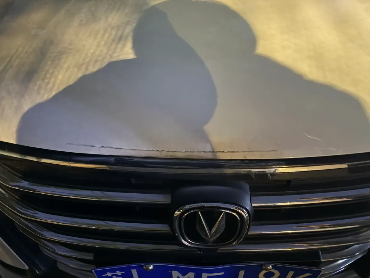 2021 ChangAn Eado 1.6L 128HP L4 CVT,autocango,china used car exporter,china ev exporter,chinese used car exporter,chinese used ev exporter