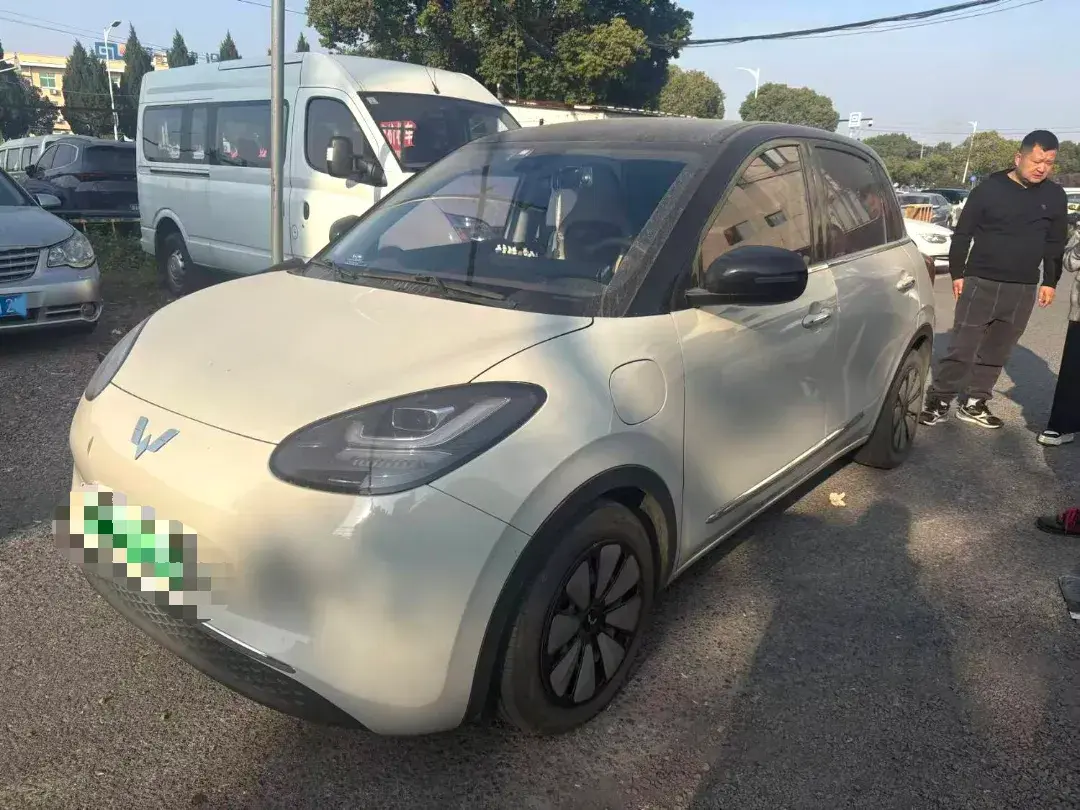 2024 WuLing BinGuo BEV 31.9KWH