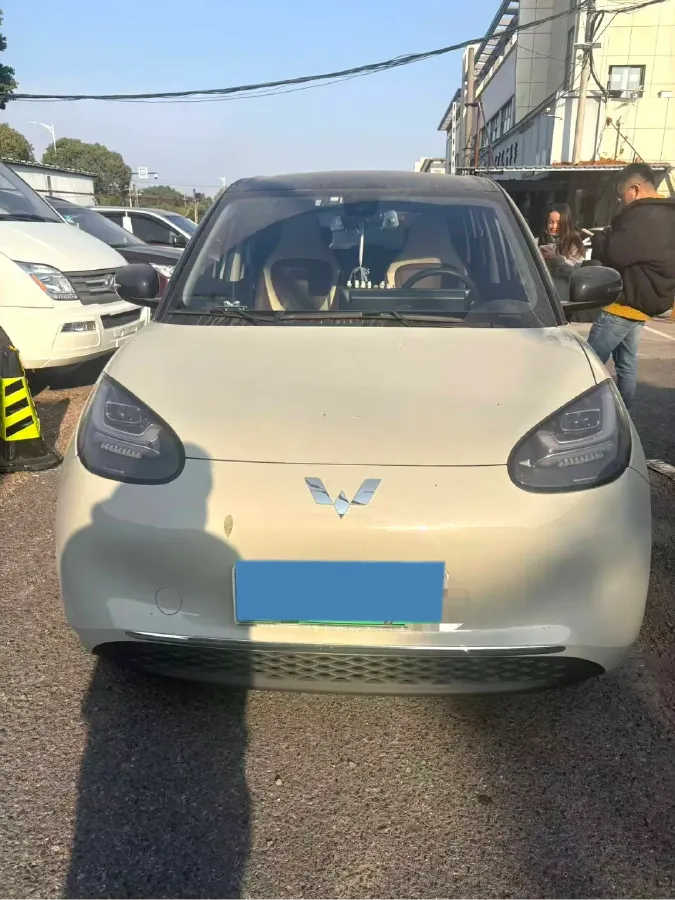 2024 WuLing BinGuo BEV 31.9KWH,autocango,china used car exporter,china ev exporter,chinese used car exporter,chinese used ev exporter
