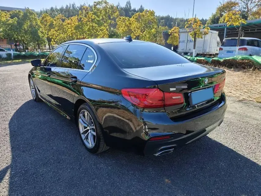 2020 BMW 5 Series 2.0T 184HP L4 8AT,autocango,china used car exporter,china ev exporter,chinese used car exporter,chinese used ev exporter