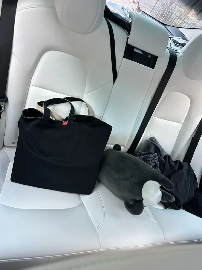 2020 Tesla Model 3 BEV 76.8KWH,autocango,china used car exporter,china ev exporter,chinese used car exporter,chinese used ev exporter