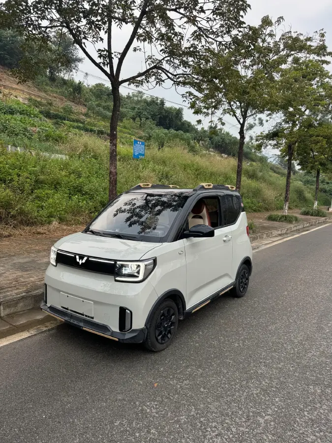2022 WuLing HongGuang MINI EV BEV 17.3KWH