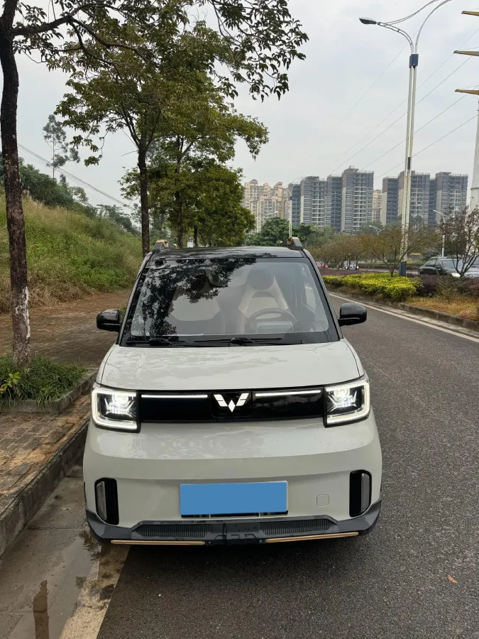 2022 WuLing HongGuang MINI EV BEV 17.3KWH,autocango,china used car exporter,china ev exporter,chinese used car exporter,chinese used ev exporter