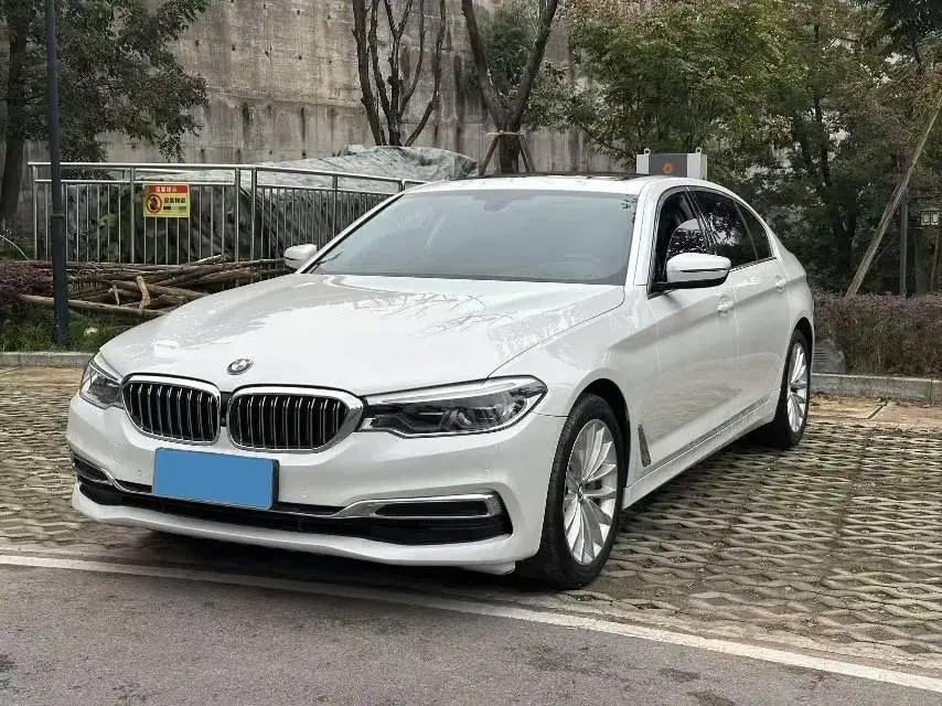 2020 BMW 5 Series 2.0T 252HP L4 8AT