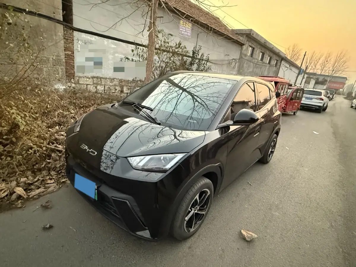 2023 BYD Seagull BEV 30.08KWH