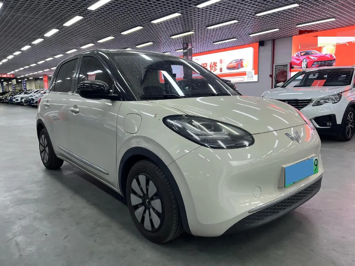 2023 WuLing BinGuo BEV 31.9KWH,autocango,china used car exporter,china ev exporter,chinese used car exporter,chinese used ev exporter