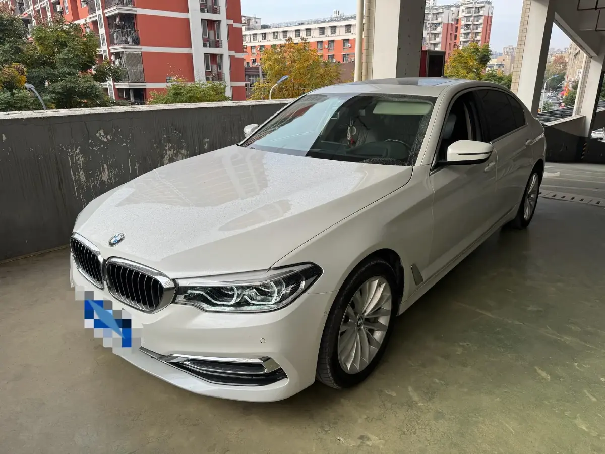 2019 BMW 5 Series 2.0T 252HP L4 8AT