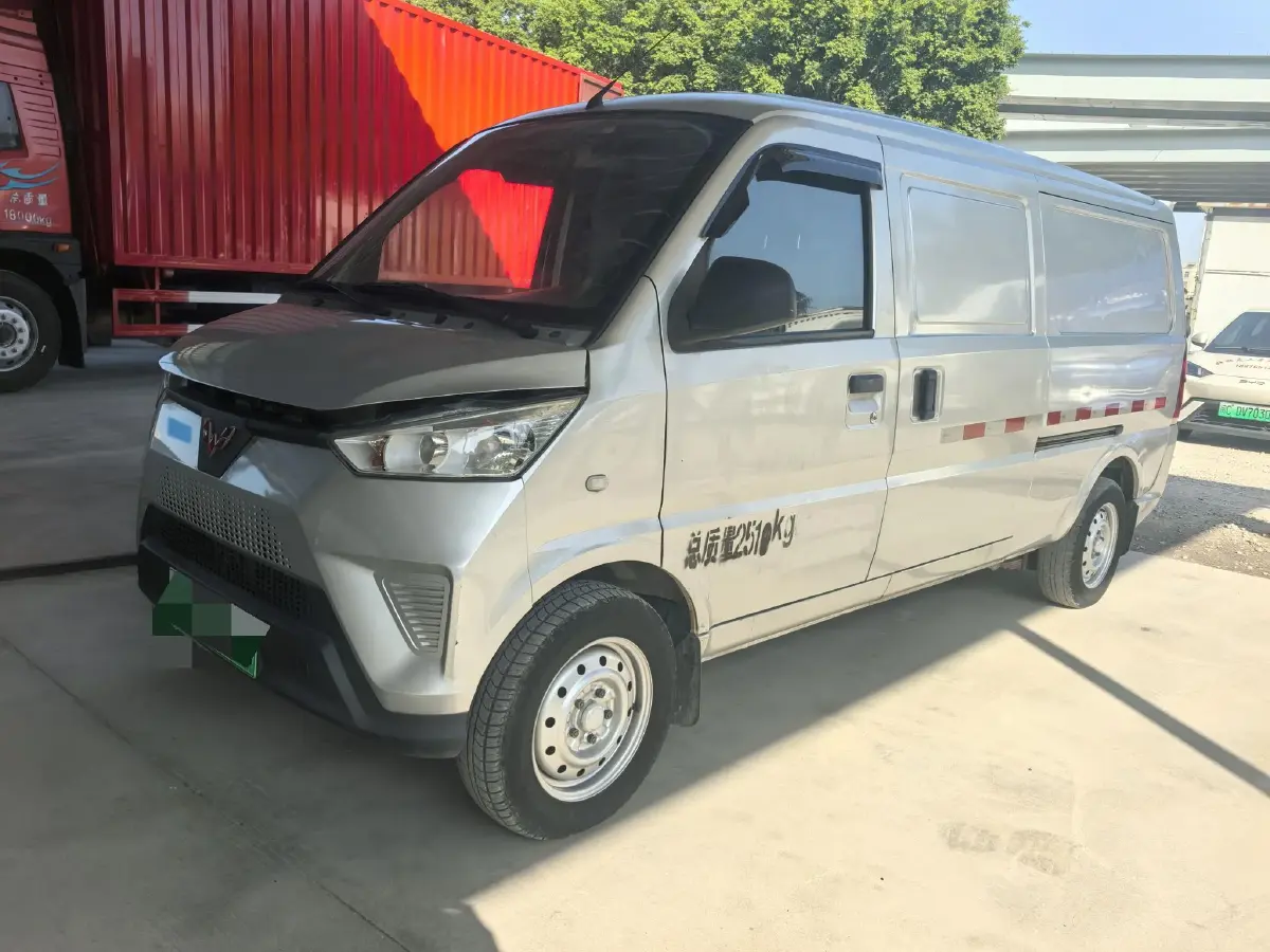 2020 WuLing EV50 BEV 43.2KWH