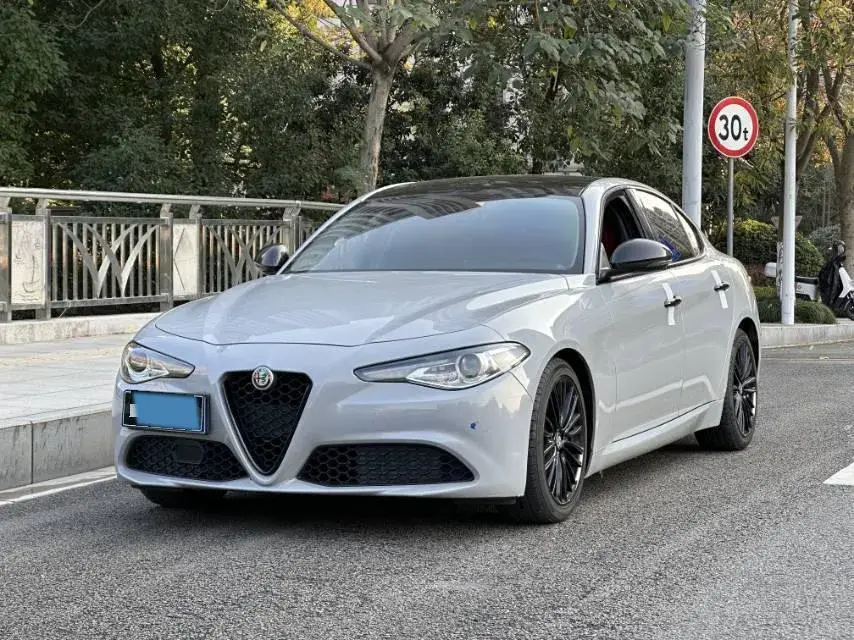 2017 Ford Mustang 2.3T 314HP L4 6AT