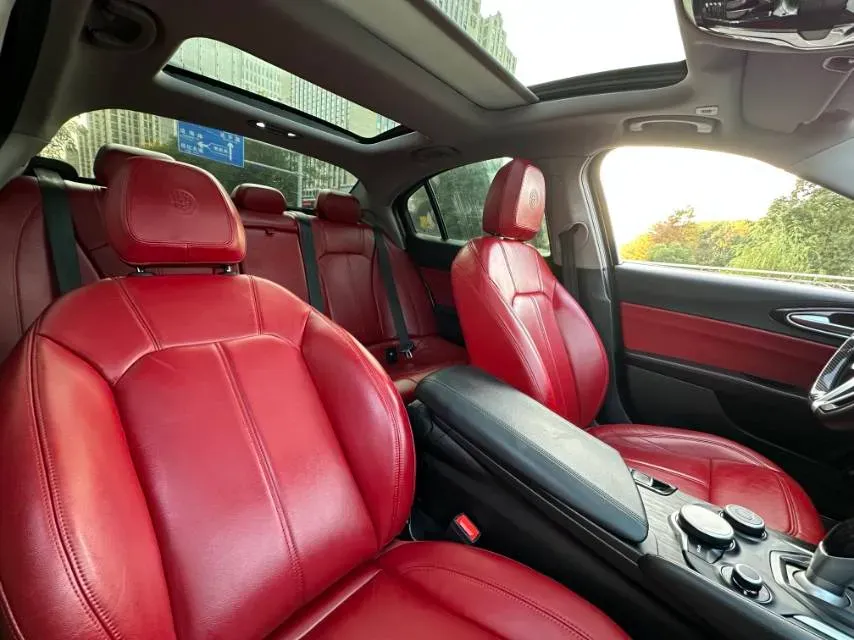 2017 Ford Mustang 2.3T 314HP L4 6AT,autocango,china used car exporter,china ev exporter,chinese used car exporter,chinese used ev exporter