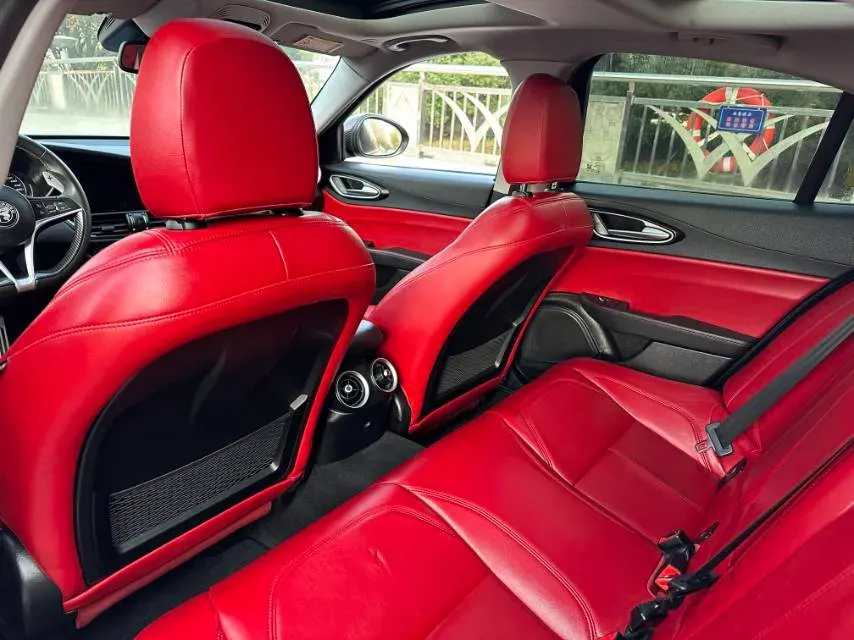 2017 Ford Mustang 2.3T 314HP L4 6AT,autocango,china used car exporter,china ev exporter,chinese used car exporter,chinese used ev exporter