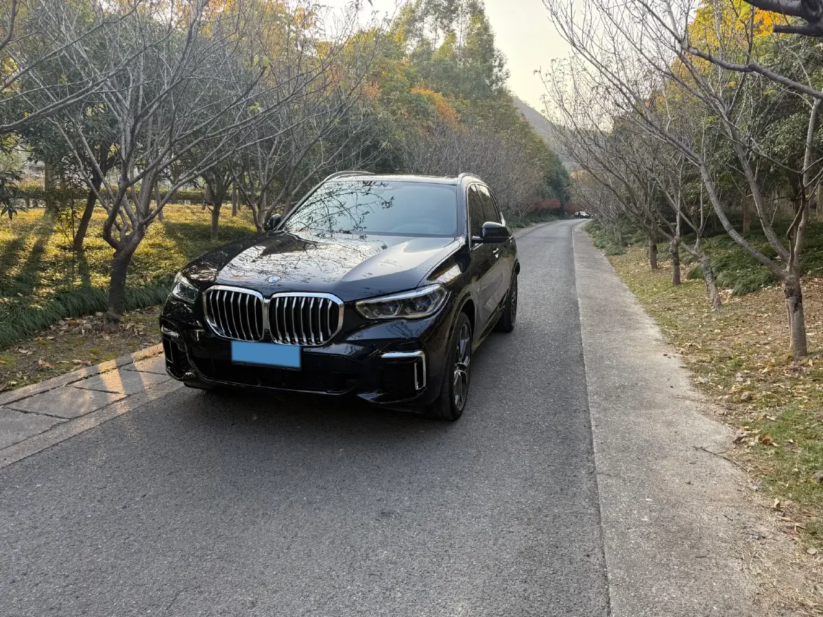 2022 BMW X5 3.0T 333HP L6 8AT