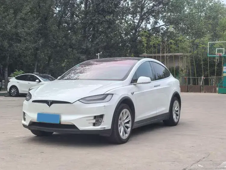 2019 Tesla Model X BEV 100KWH