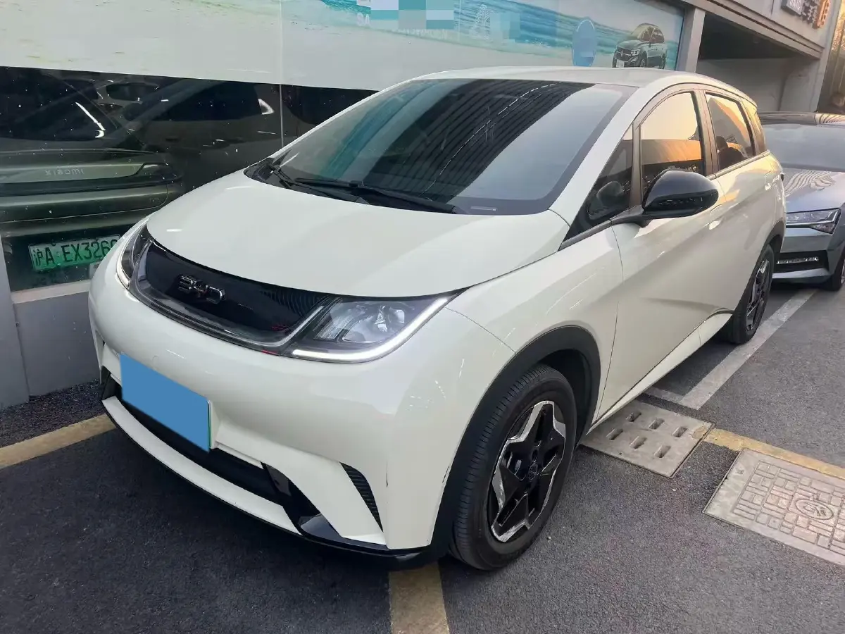 2025 BYD Dolphin BEV 44.928KWH