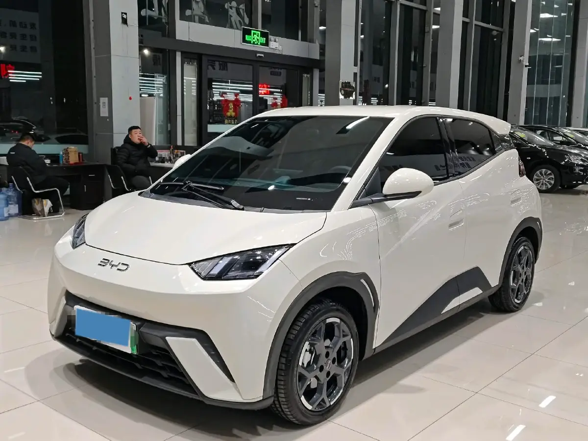 2025 BYD Seagull BEV 30.08KWH