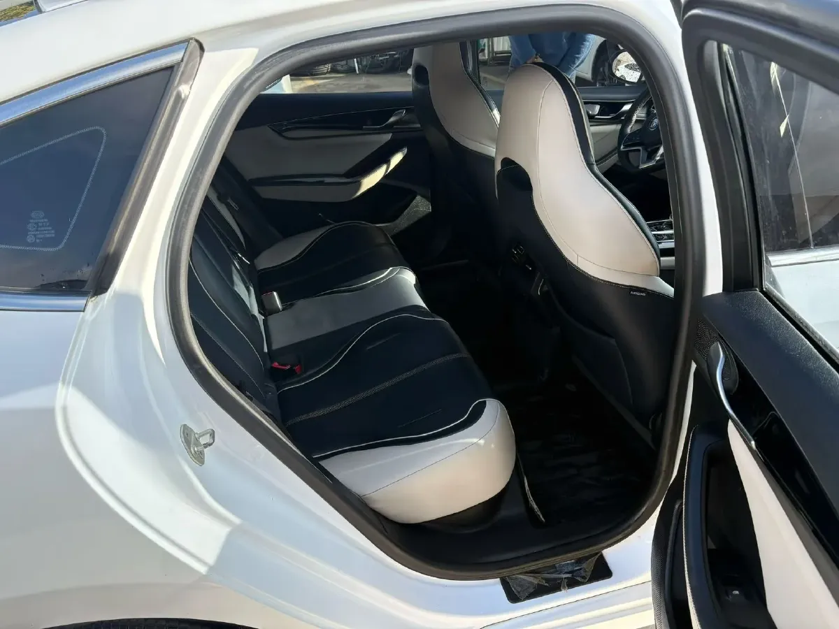 2021 DongFeng FuKang e Elysee BEV 30.7KWH,autocango,china used car exporter,china ev exporter,chinese used car exporter,chinese used ev exporter