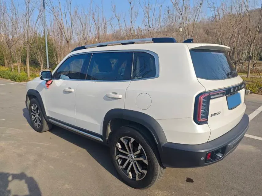 2021 Haval Dargo 2.0T 211HP L4 7DCT,autocango,china used car exporter,china ev exporter,chinese used car exporter,chinese used ev exporter