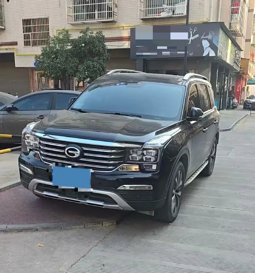 2019 GAC Trumpchi GS8 2.0T 252HP L4 6AT 2019 GAC Trumpchi GS8 2.0T 252HP L4 6AT