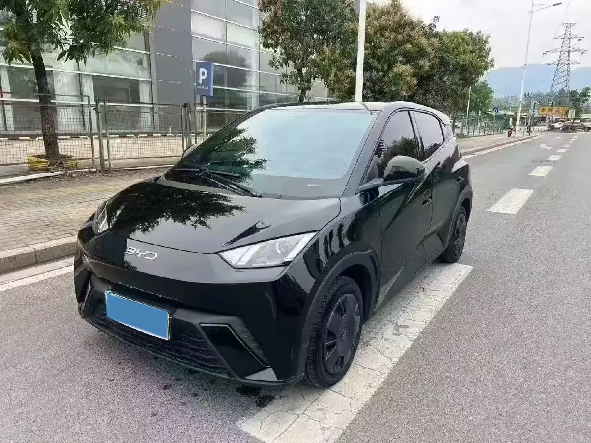 2025 BYD Seagull BEV 38.88KWH