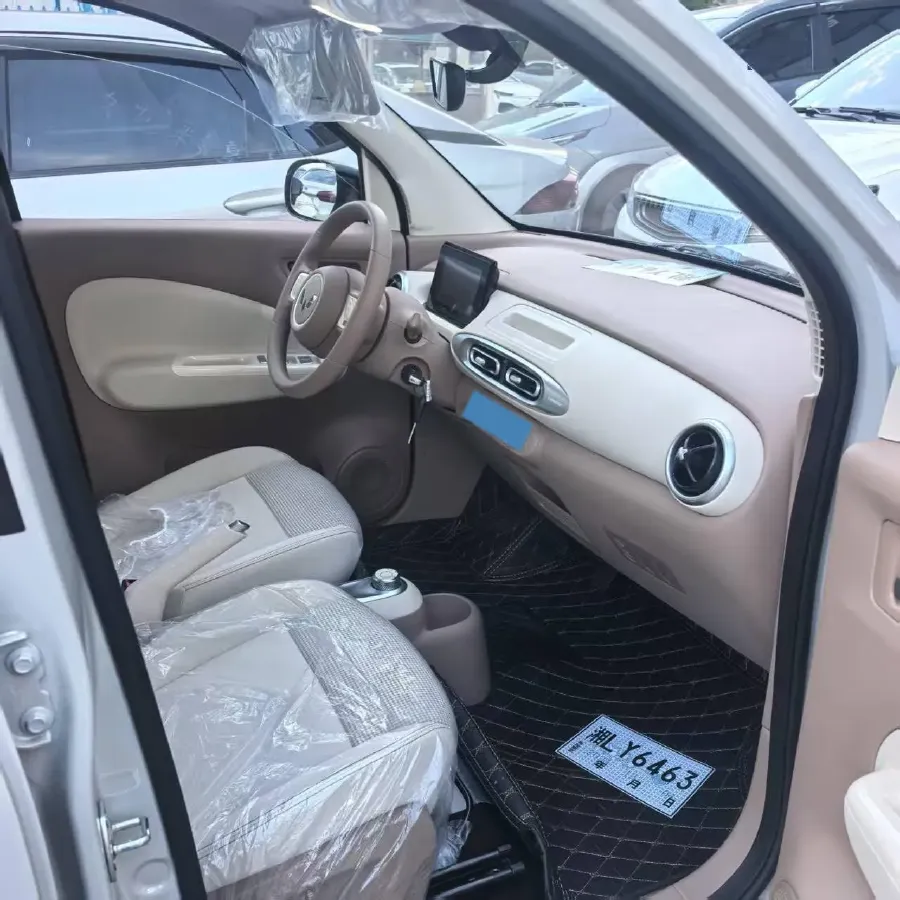 2025 WuLing HongGuang MINI EV BEV 16.2KWH,autocango,china used car exporter,china ev exporter,chinese used car exporter,chinese used ev exporter